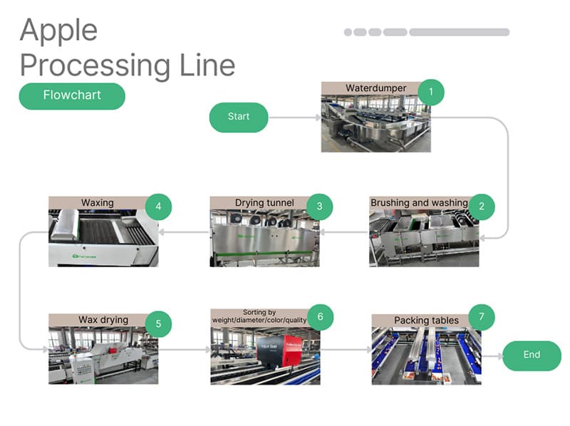 images/1741676002881apple grading packing machine.jpg